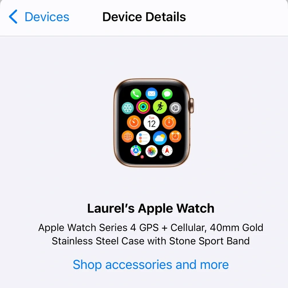 Apple Watch Series 4 Gold Titanium - Picture 5 of 5